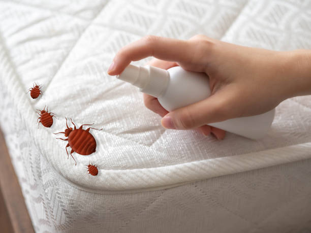 Best Residential Pest Control  in South Eliot, ME